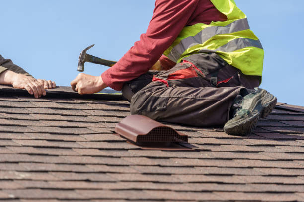 Best Roof Gutter Cleaning  in Durant, IA